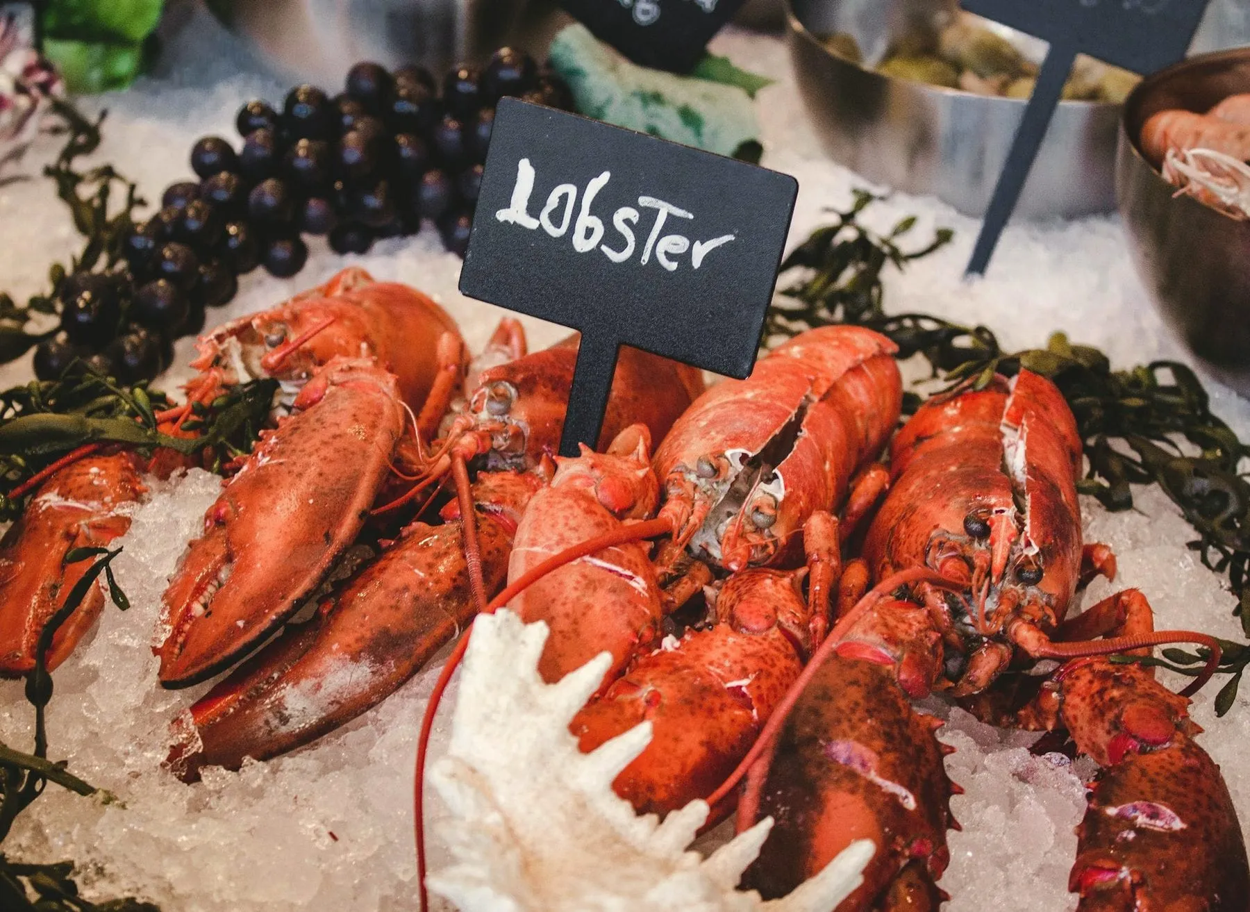 Live Maine lobsters on ice at Perry Butcher Co. in Waterboro